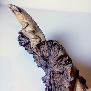 Wooden lizard